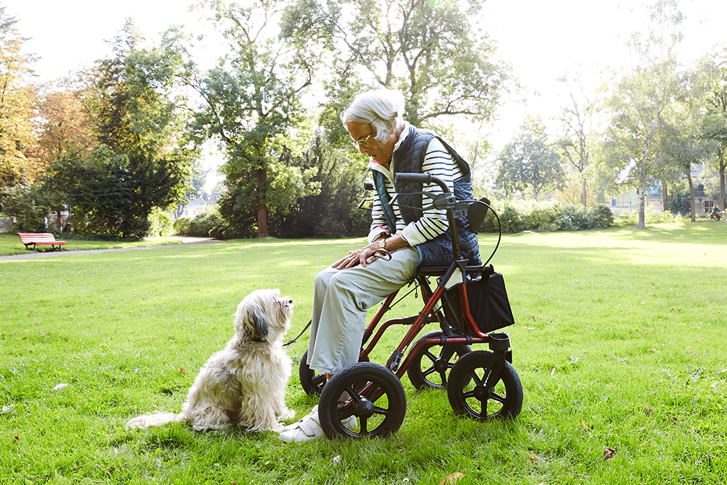 Eine alte Frau sitzt im Park auf der Sitzfläche des Rollators und beugt sich zu ihrem Hund herunter.