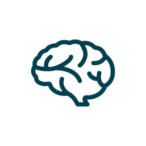 Icon eines Gehirns
