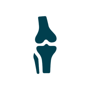 Icon der Knochen am Kniegelenk