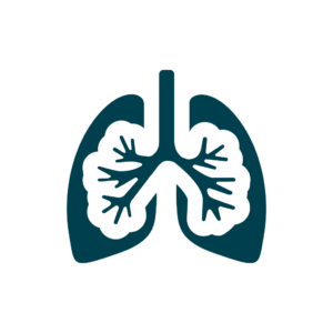 Icon der Lungenflügel